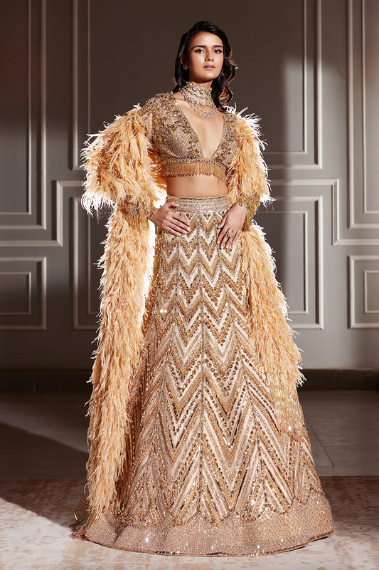 Gold Chevron Embroidered Lehenga Set