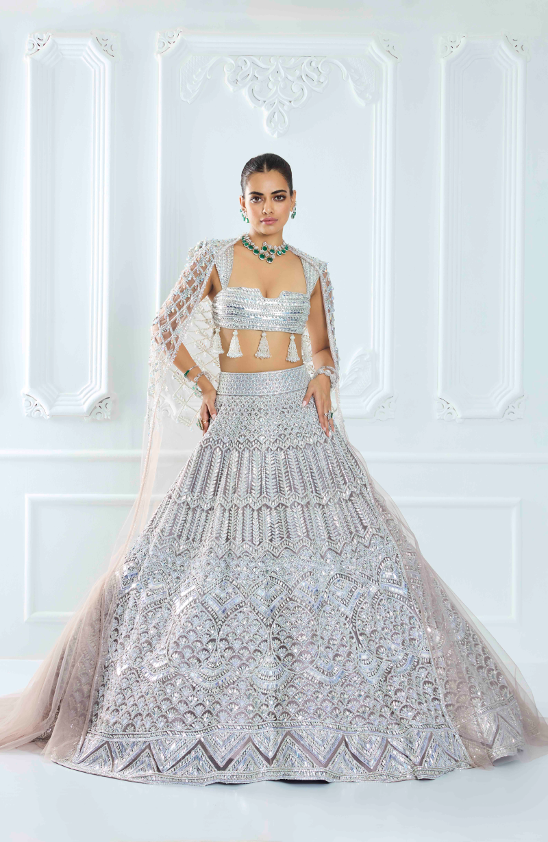 Grey Organza Silver Embroidered Lehenga Set
