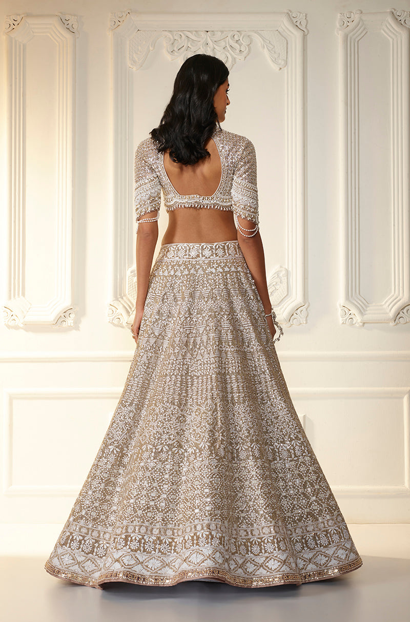 Fawn Net Chikankari Mijwan Embroidered Lehenga Set