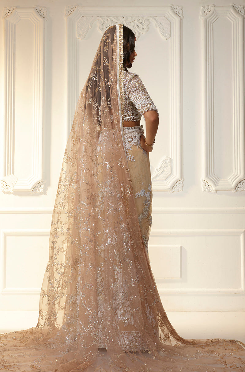 Fawn Tulle Mijwan Floral Boota Saree Set