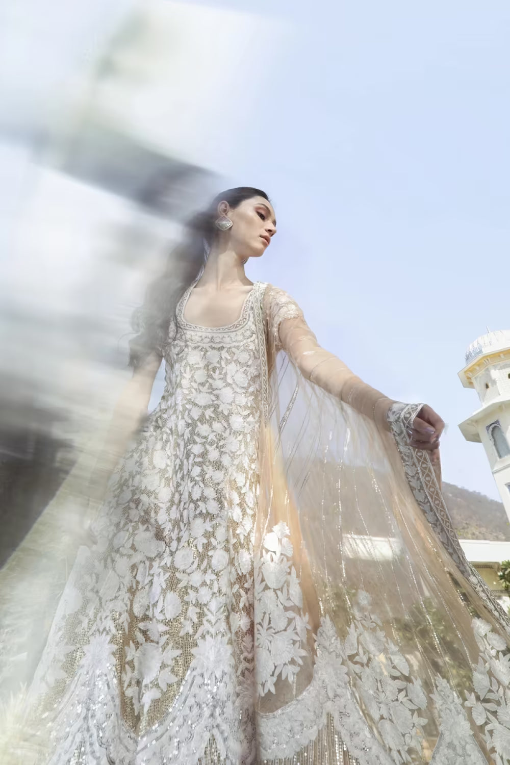 Beige Tulle Kashmiri Kalidar Set