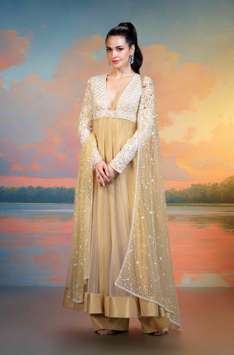 Gold Embroidered Tulle Kalidar Kurta Set