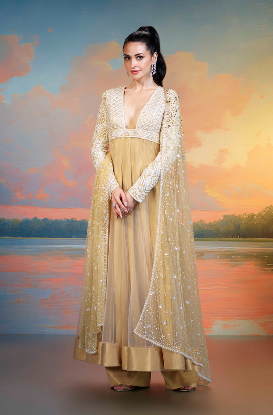 Gold Embroidered Tulle Kalidar Kurta Set