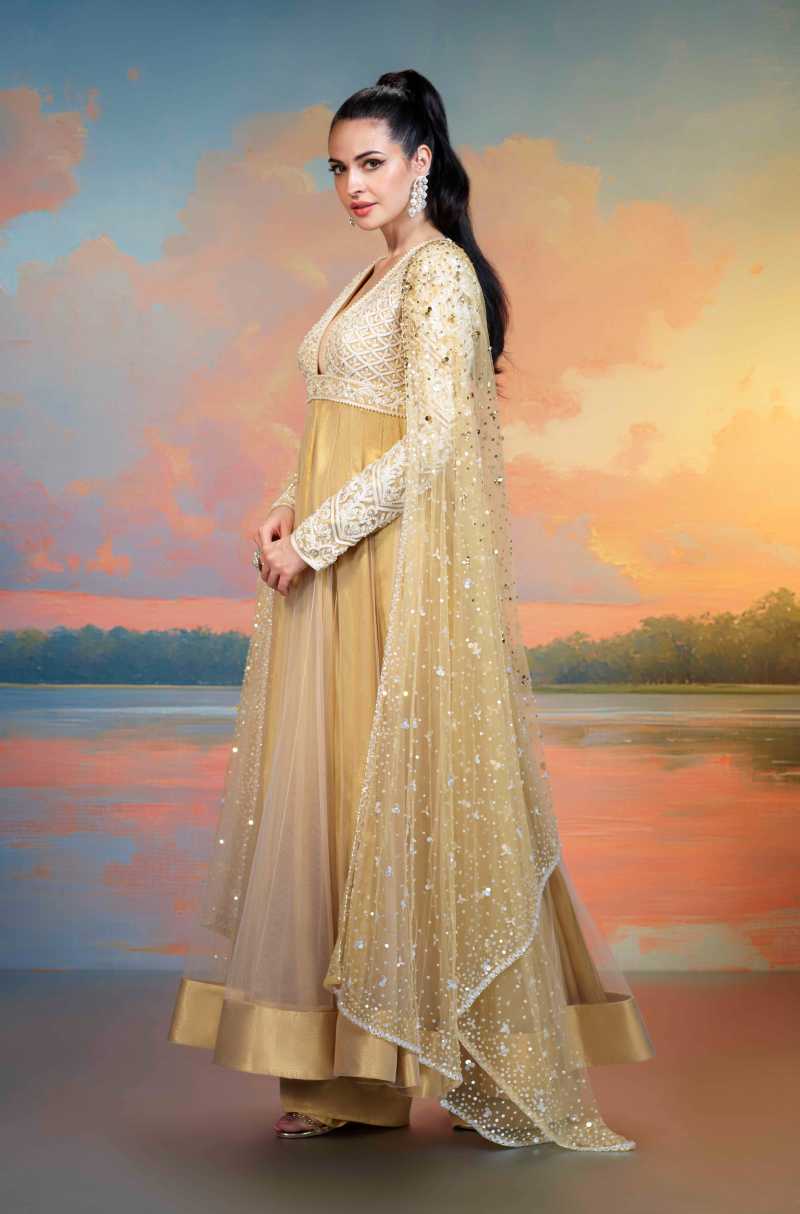 Gold Embroidered Tulle Kalidar Kurta Set