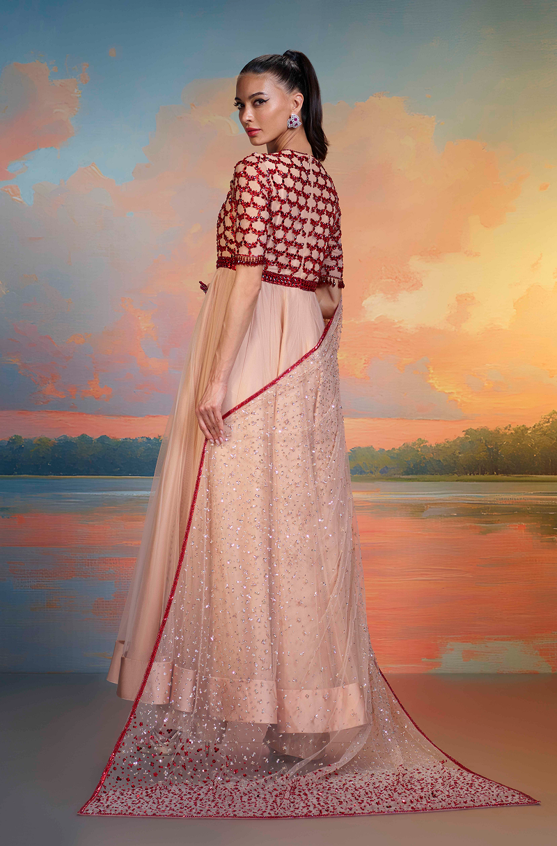 Nude Tulle Red Stone Embroidered Kalidar Kurta Set