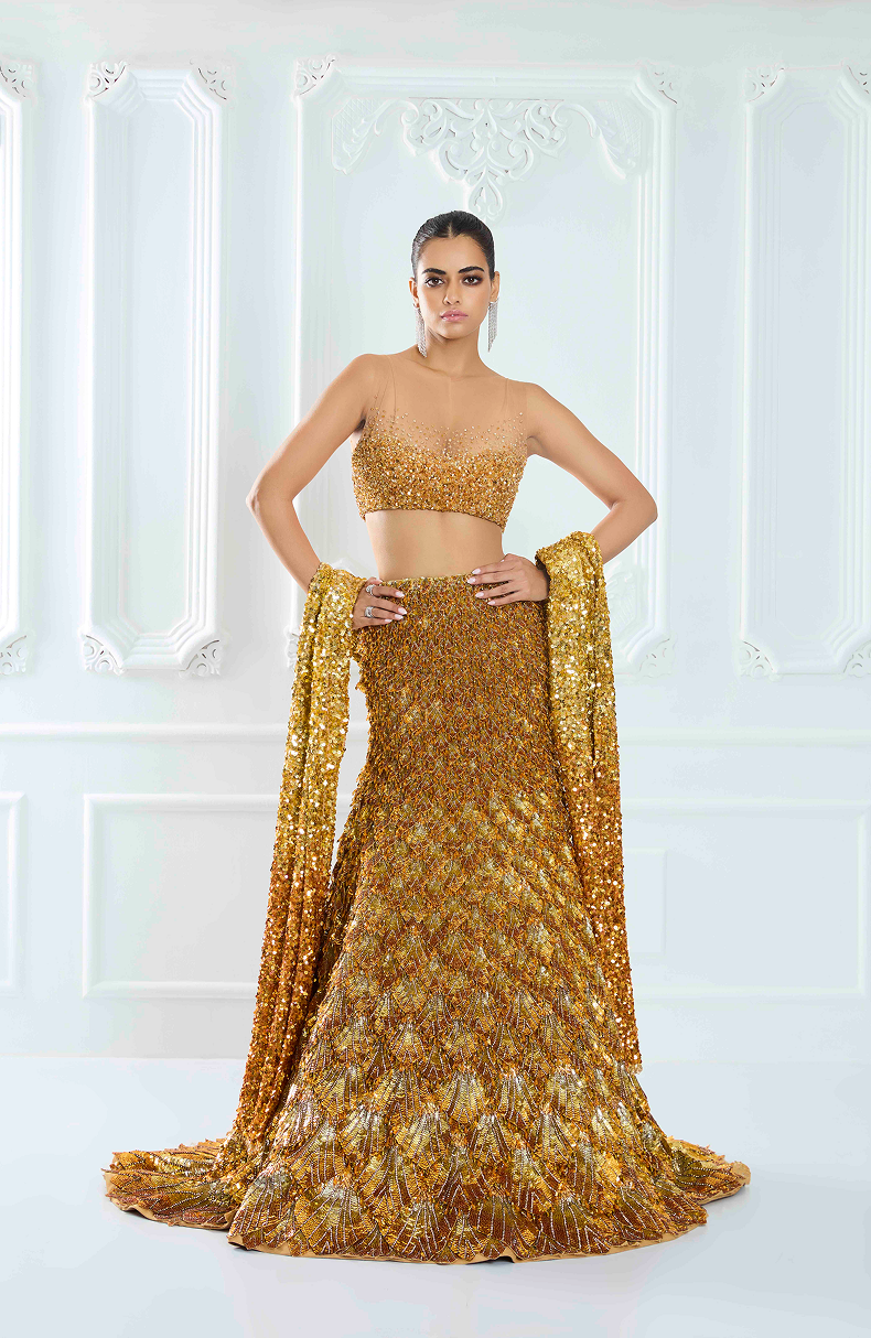 Grey Rainbow Sequin Georgette Saree Set