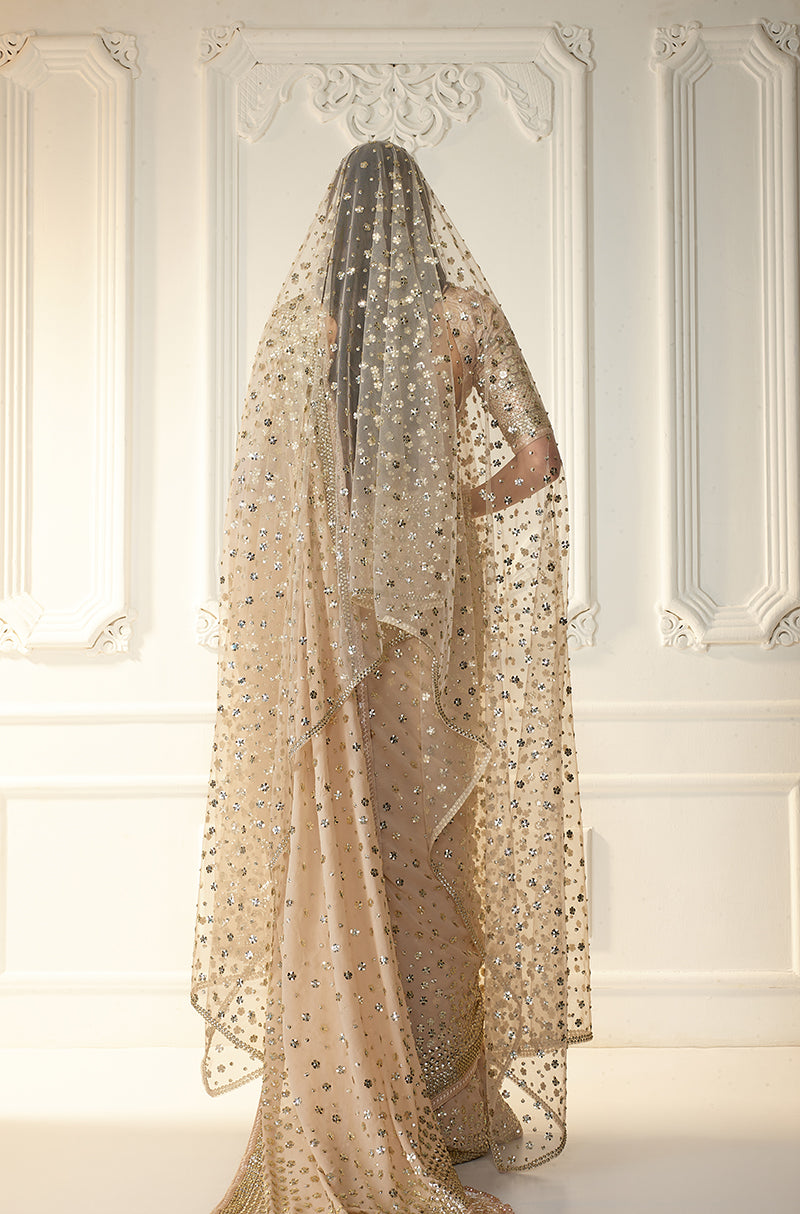 Beige Georgette With Taban Embroidered Saree Set