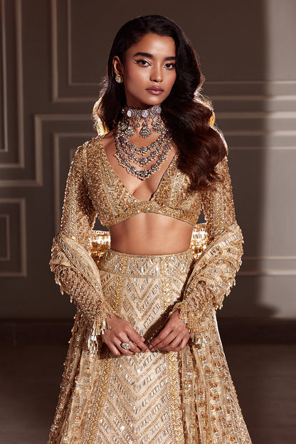 Signature Gold Taban Embroidered Lehenga Set