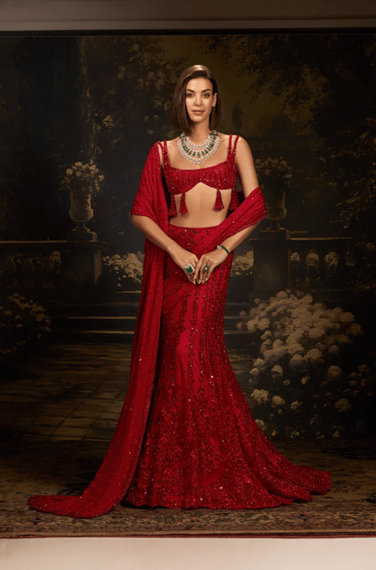 Red Net with Zari Embroidered Saree Lehenga Set