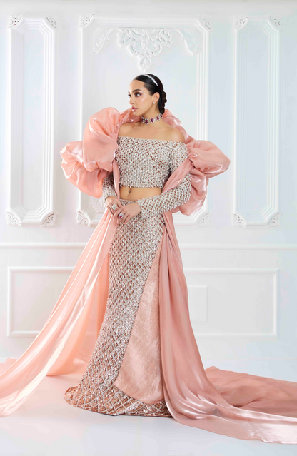 Champagne Net Fishtail Sequin Lehenga Set