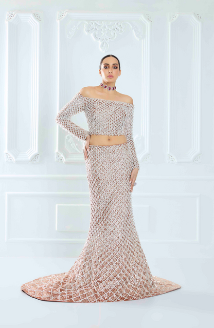 Champagne Net Fishtail Sequin Lehenga Set