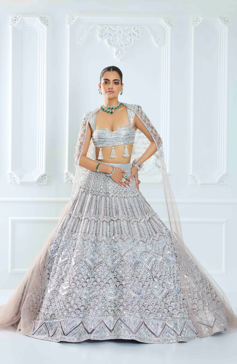 Grey Organza Silver Embroidered Lehenga Set