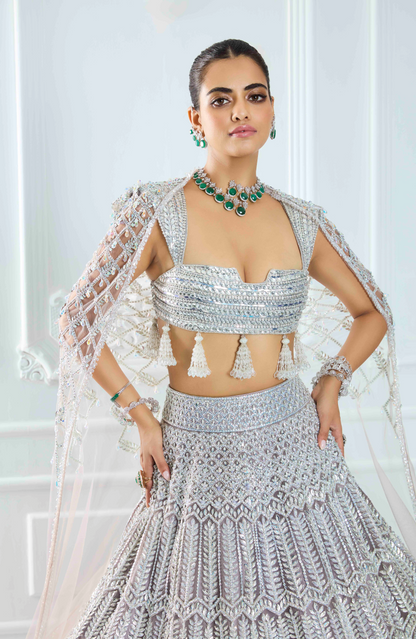 Grey Organza Silver Embroidered Lehenga Set