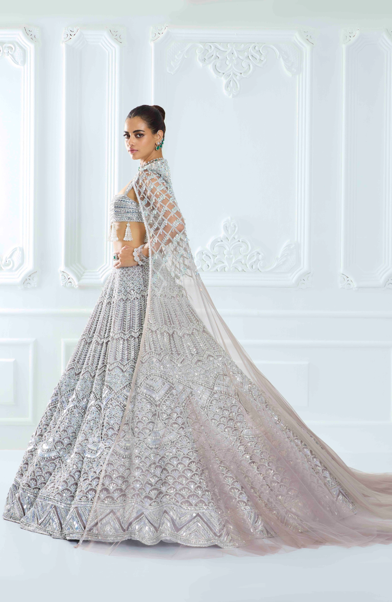 Grey Organza Silver Embroidered Lehenga Set