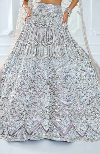 Grey Organza Silver Embroidered Lehenga Set