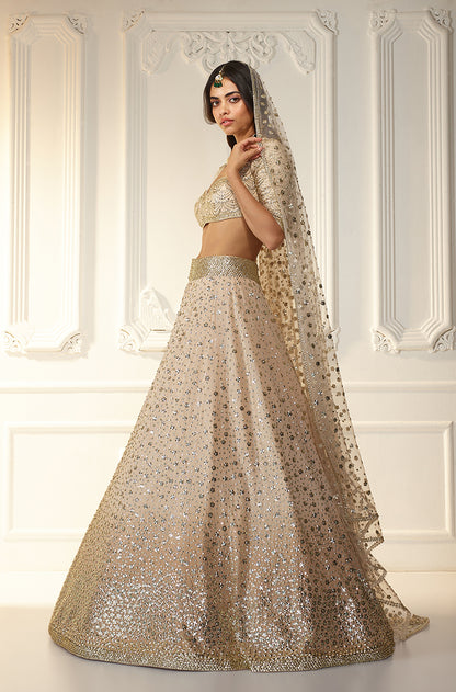 Beige with Gold Floral Taban Embroidered Lehenga Set