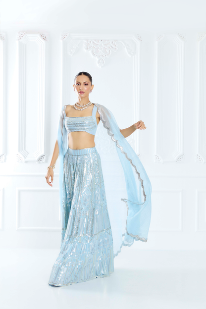 Sky Blue Embroidered Sharara Set