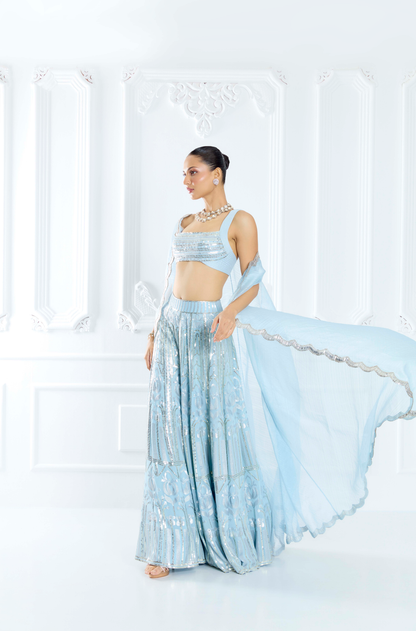 Sky Blue Embroidered Sharara Set