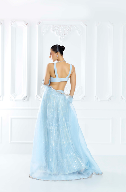 Sky Blue Embroidered Sharara Set