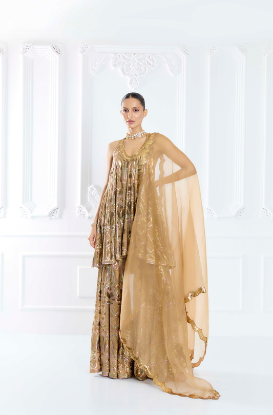 Olive Embroidered Sharara Set