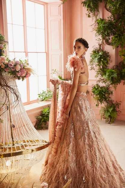 Rose Gold Sequin Feather Embroidered Lehenga Set