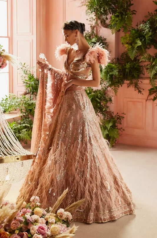 Blush Sequin Feather Embroidered Lehenga Set