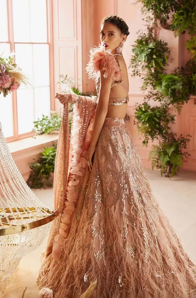 Blush Sequin Feather Embroidered Lehenga Set