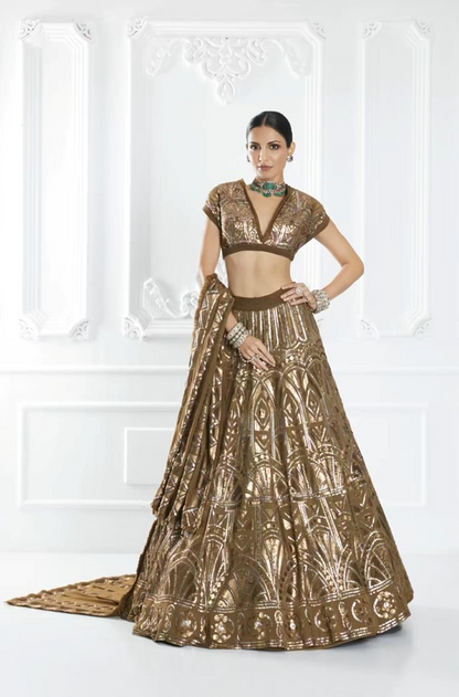 Brown Sequin Embellished Lehenga Set