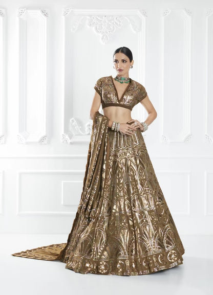Brown Sequin Embellished Lehenga Set