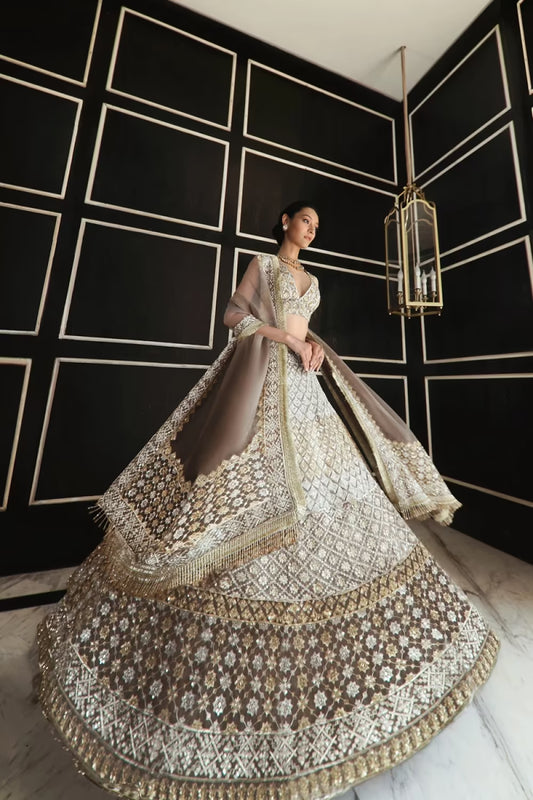 Fawn Geometric Embroidered Lehenga Set