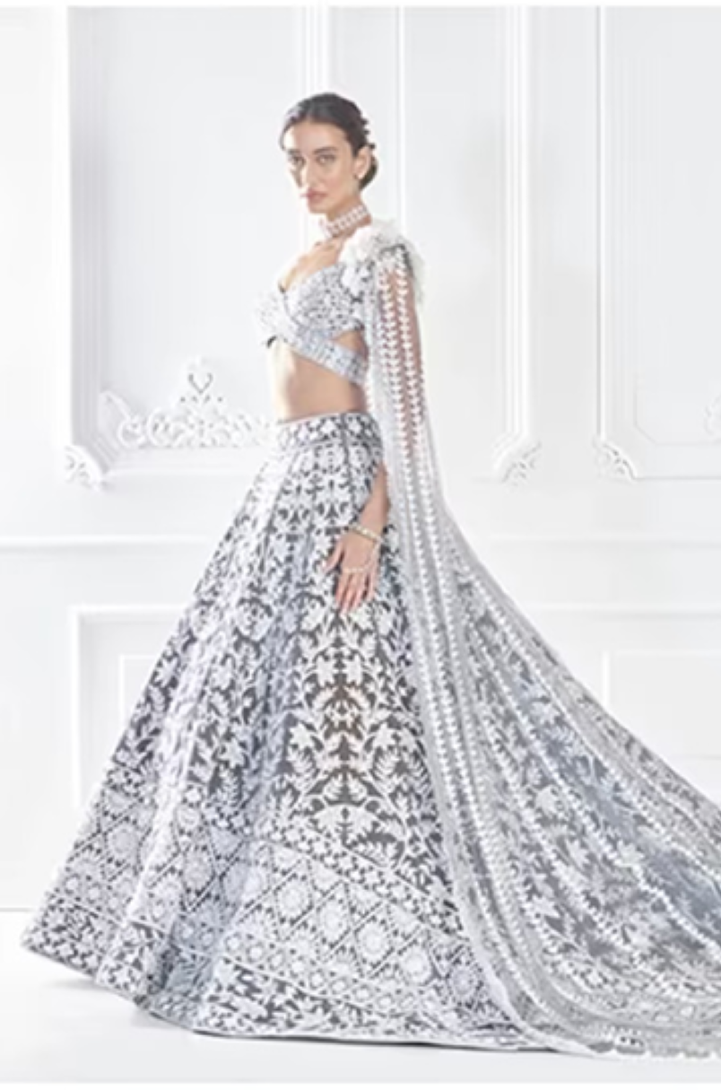Grey Ivory Velvet Embroidered Lehenga Set