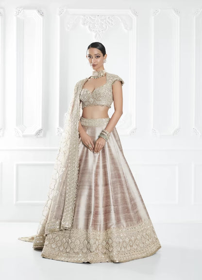 Oyster Embroidered Lehenga Set