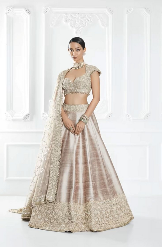 Oyster Embroidered Lehenga Set