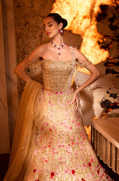 Gold Tulle with 3D Floral Embroidered Lehenga Set