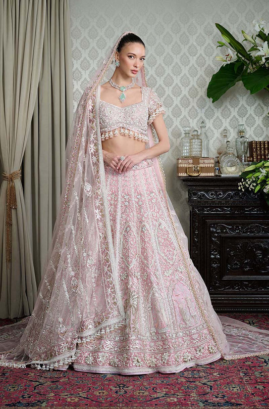 Soft Pink Net Nakshi Embroidered Lehenga Set