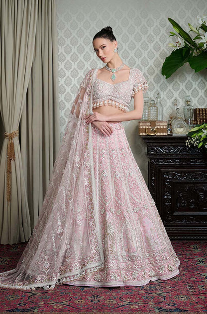 Soft Pink Net Nakshi Embroidered Lehenga Set