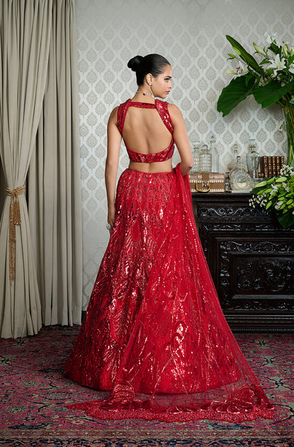 Red on Red Embroidered Lehenga Set