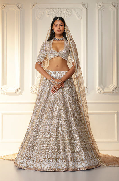 Fawn Net Chikankari Mijwan Embroidered Lehenga Set