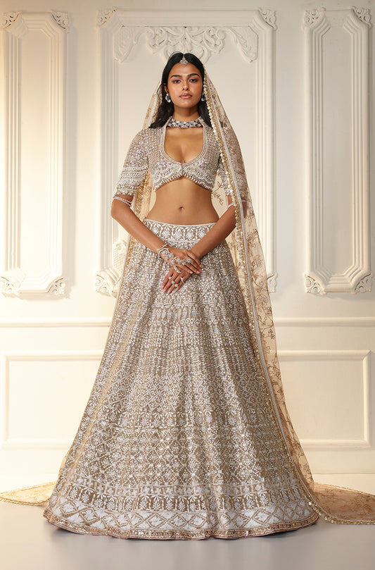 Fawn Net Chikankari Mijwan Embroidered Lehenga Set