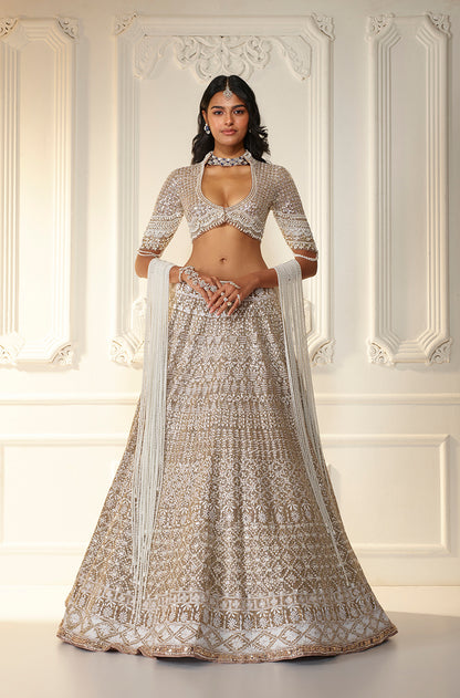 Fawn Net Chikankari Mijwan Embroidered Lehenga Set