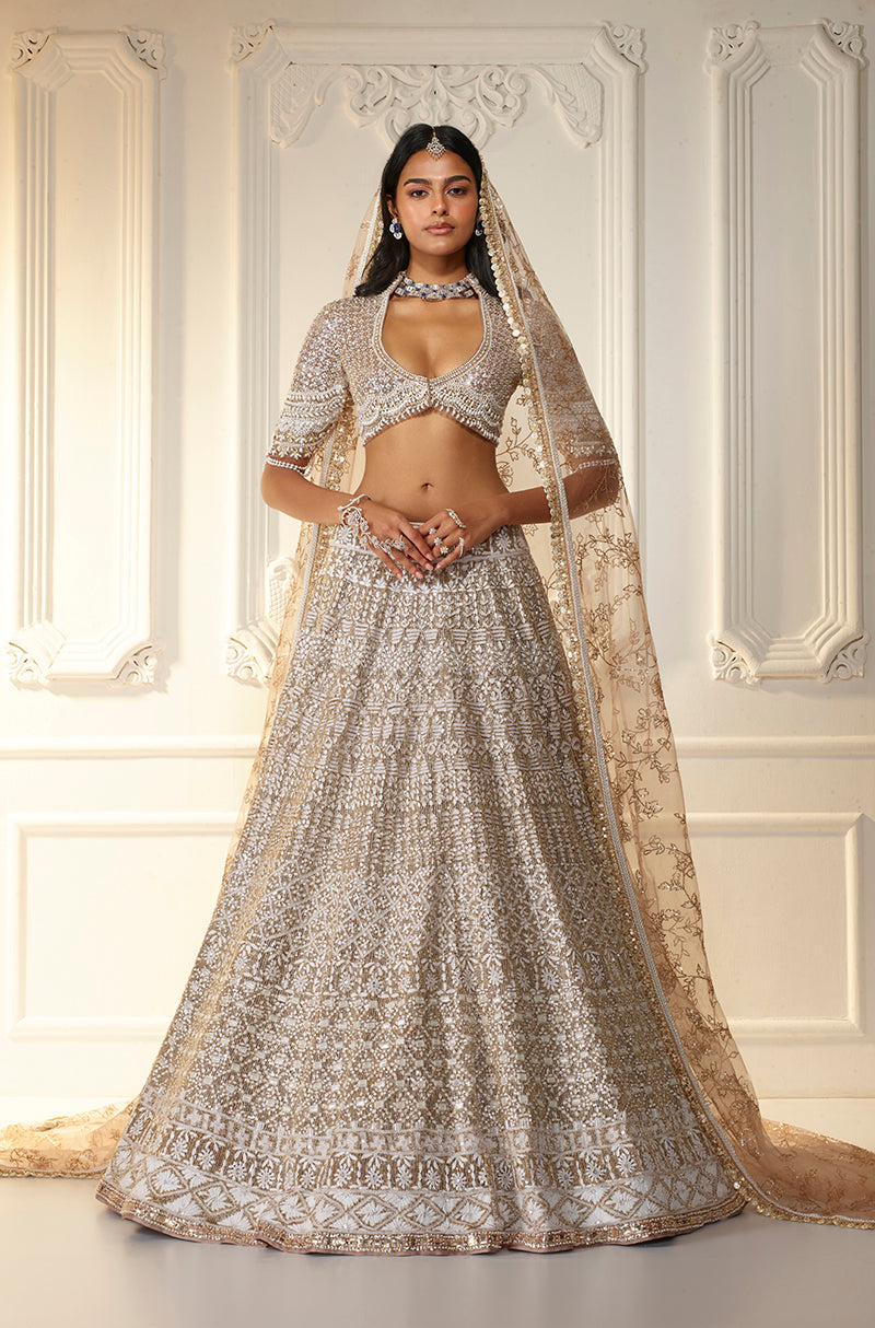 Fawn Net Chikankari Mijwan Embroidered Lehenga Set