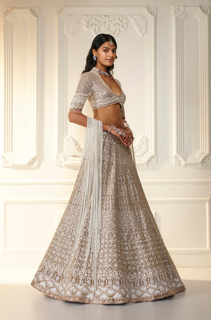 Fawn Net Chikankari Mijwan Embroidered Lehenga Set