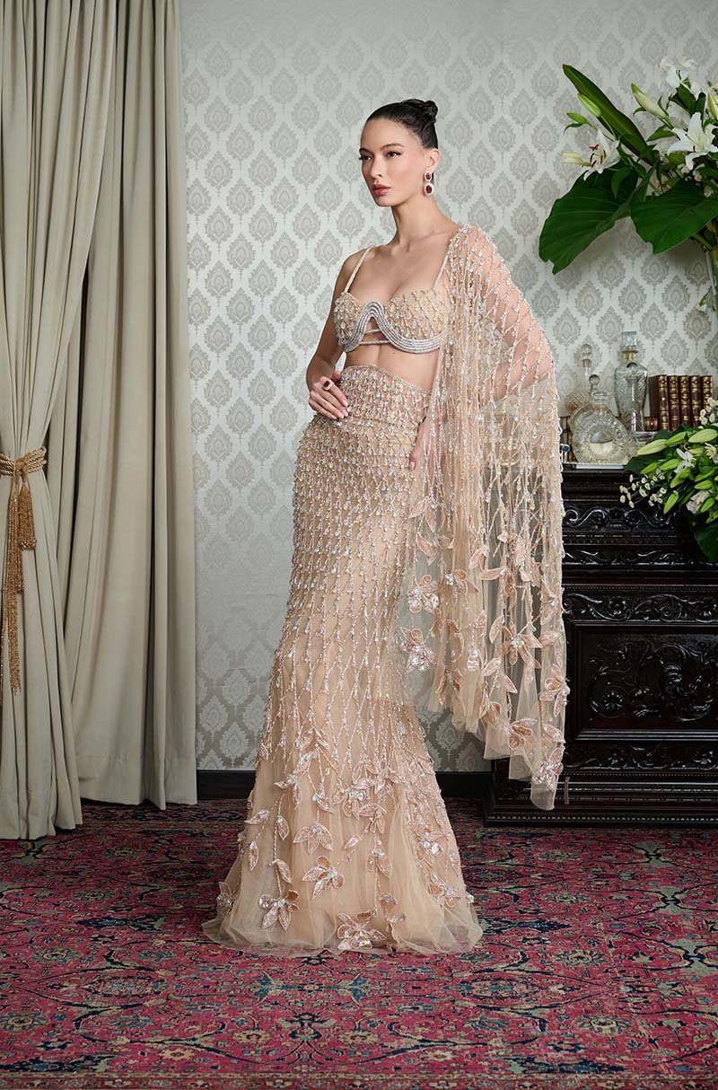 Beige Tulle Slim Embroidered Skirt Set