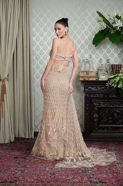 Beige Tulle Slim Embroidered Skirt Set