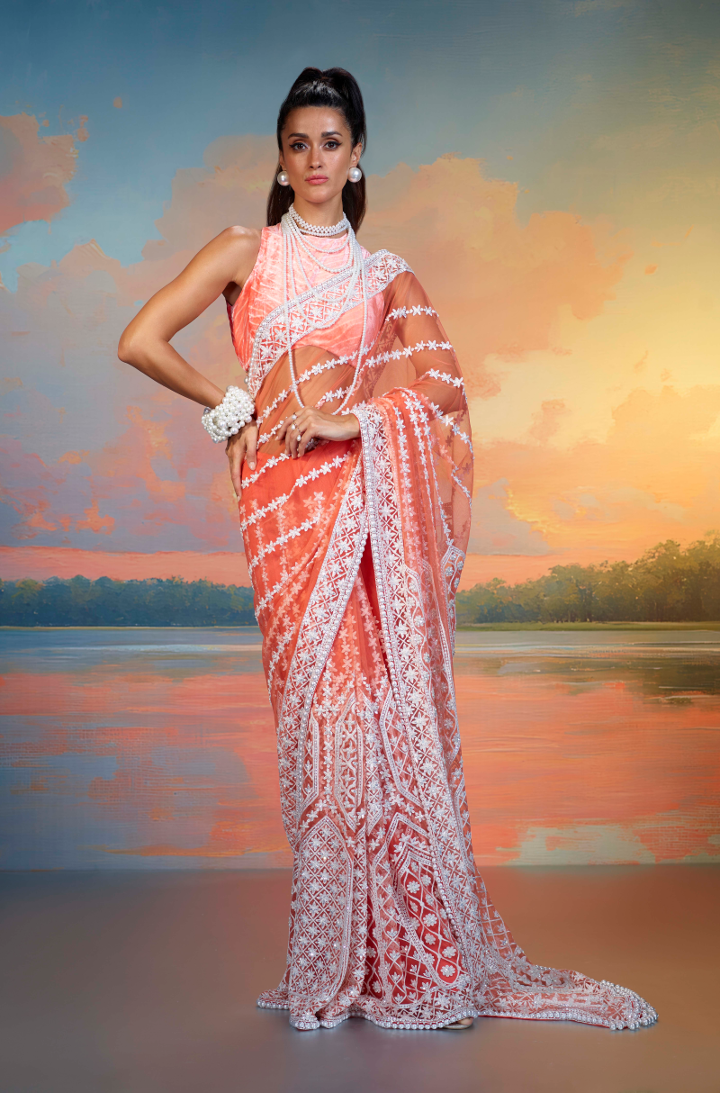 Coral & Ivory Kashmiri Embroidered Net Saree Set