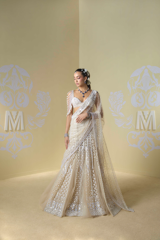 Cream and Ivory Kashmiri Embroidered Saree Set