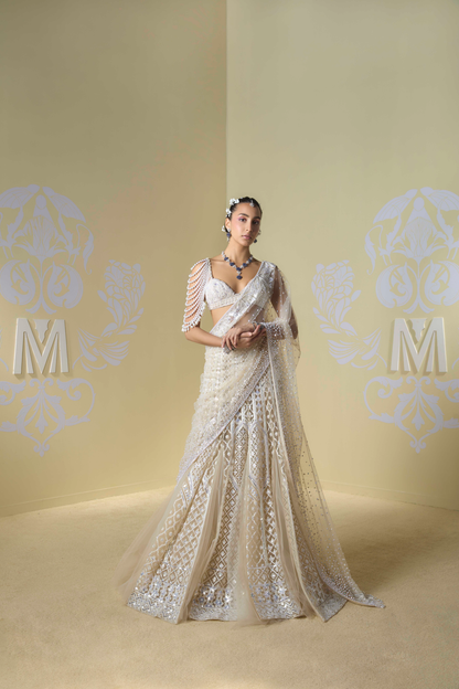 Cream and Ivory Kashmiri Embroidered Saree Set
