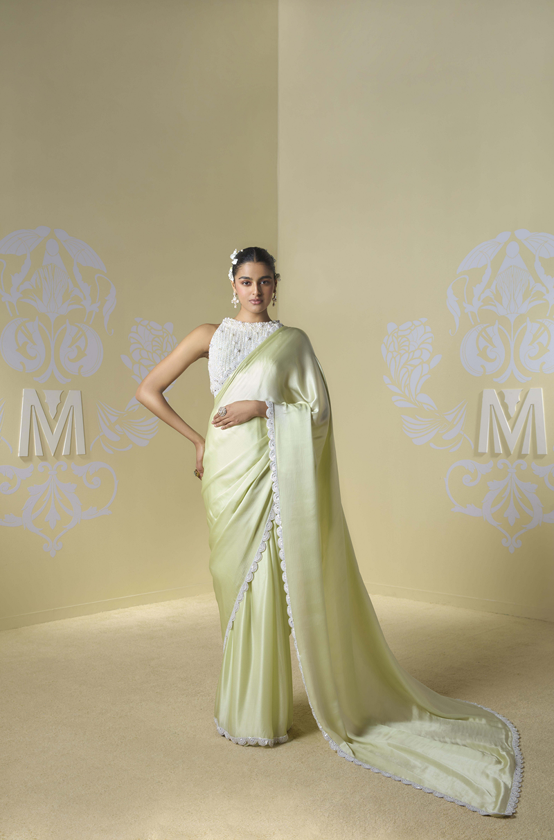 Light Green Kashmiri Embroidered Saree Set