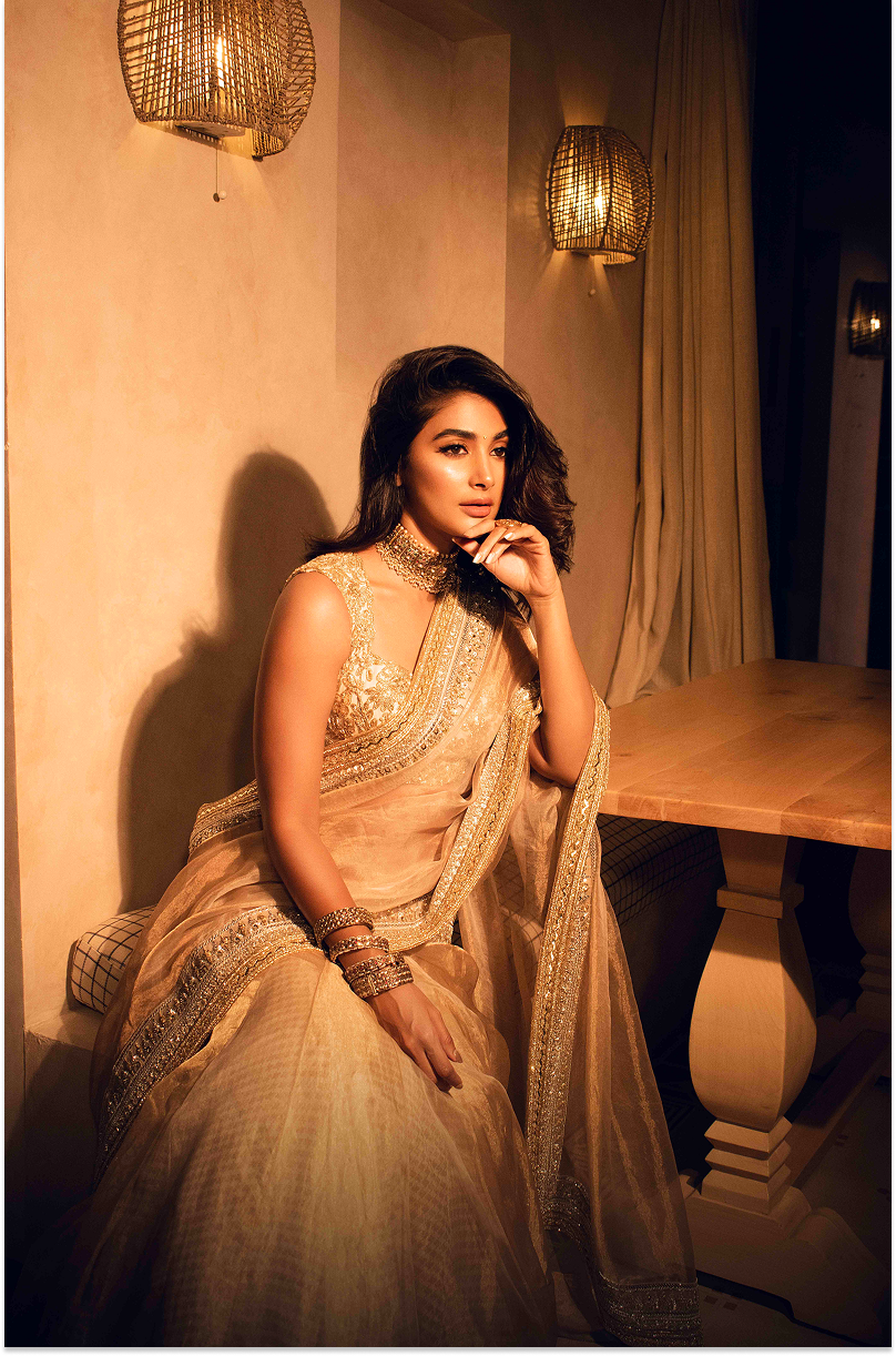 Pooja Hegde in our Beige Statement Border Saree Set