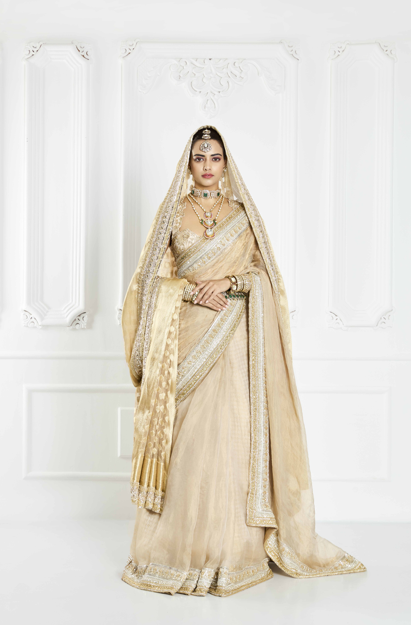 Beige Statement Border Saree Set